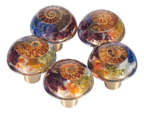 Sunyik 4pcs 7 Chakra Ammonite Fossil Pierras Cajas Con Canti