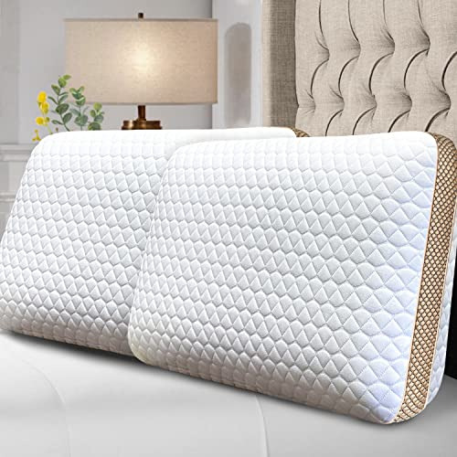 Sofslee Memory Foam Pillow Standard/queen Size Medium Nt33s