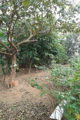 Imagem 7 de 9 de Terreno, Parque Fernão Dias, Santana De Parnaíba - R$ 550.000,00, 0m² - Codigo: 208700 - V208700