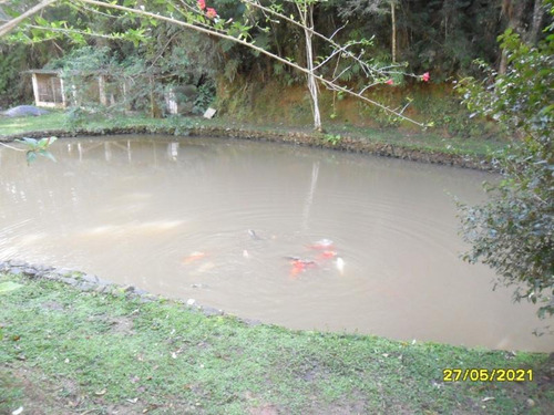Imagem 3 de 14 de Excelente Chácara Com Piscina E Lagos Cod: 4448
