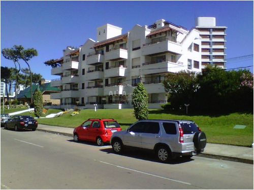 Imagen 15 de 17 de Apartamento En Brava, 1 Dormitorios *