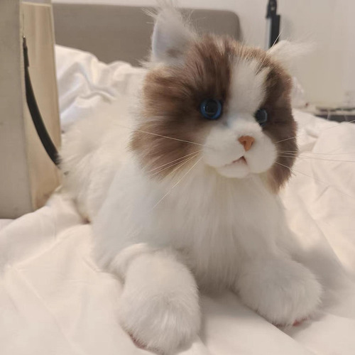 Muñeco De Peluche De Gato Realista, Animal Relleno, Gato