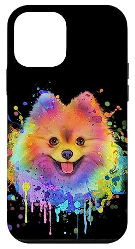 Funda Para iPhone 12 Mini Colorful-022