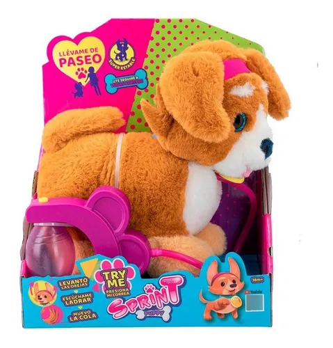Perrito con correa juguete sale