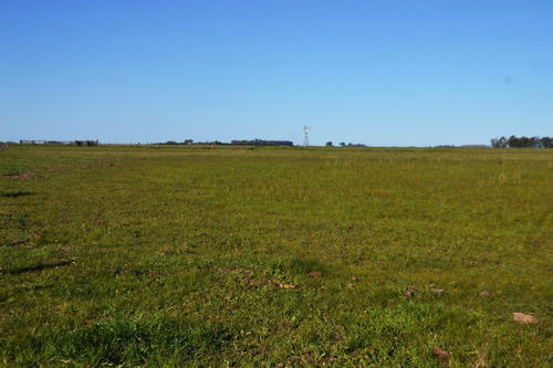 Imagen 5 de 8 de Vendo Campo De 106 Ha En Gral. Alvear