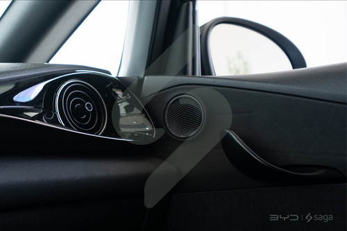 Dolphin Mini Ev