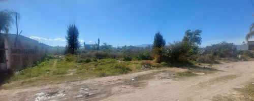 Lote En Ejido Las Pintas, El Salto Jalisco.