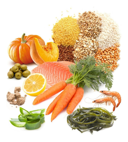 Imagen 3 de 6 de Alimento Peces De Fondo Herbívoros Vegetable Tablet 750g