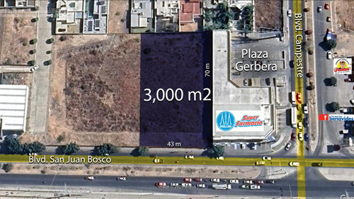 Terreno En Renta Blvd. San Juan Bosco Y Blvd. Campestre