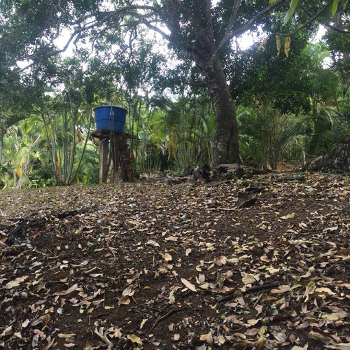 Imagen 16 de 30 de Parcela Con Bienhechurías En San Juan De Los Morros, Guárico