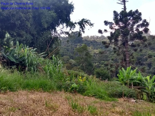 Imagem 15 de 17 de Terreno - Te00050 - 69320696