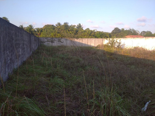 Imagem 8 de 11 de Excelente Terreno Com Escritura Pública Em São Gonçalo Do Amarante Com 450m² - Rio Grande Do Norte - Te0216