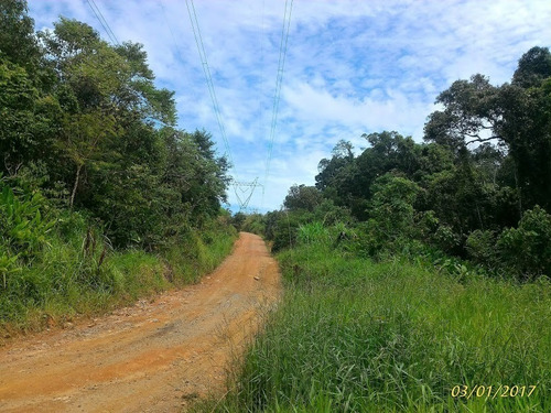 Imagem 11 de 12 de Vende Área Industrial Rodovia Presidente Dutra-sp 179.000m2