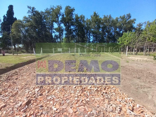 Imagen 3 de 24 de Terreno - Grand Bourg