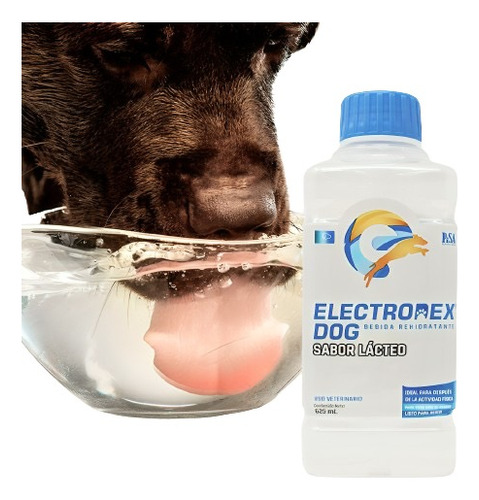 Electrodex Bebida Rehidratante Para Perros Sabor Lácteo 