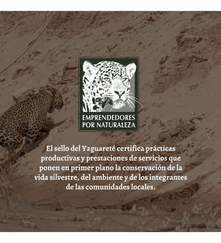 Animalitos Del Impenetrable Chaqueño - Guanaco Mediano