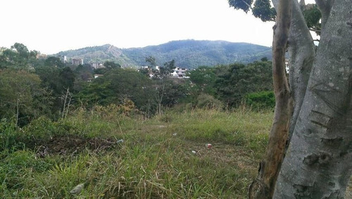 Imagen 4 de 5 de Terreno En Venta Urb. La Trinidad Rent A House Los Samanes 22-10885
