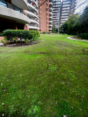 Amoblado Por Temporada. Bicentenario. 3d/3b + Servicios