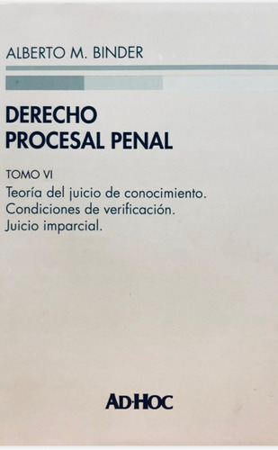 Binder Derecho Procesal Penal Tomo 6 Novedad 2022