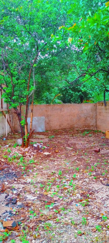 Casa En Venta Merida, Centro San Cristobal, Para Remodelar, Entrega Inmediata.
