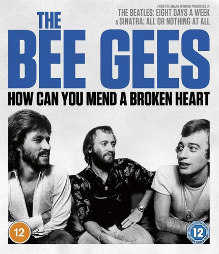 The Bee Gees - How Can You Mend A Broken Heart (bluray)