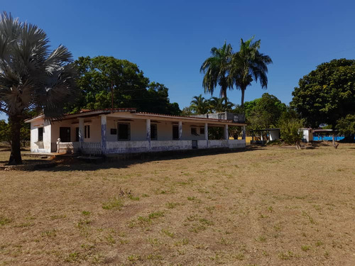 Se Vende Terreno En Sabana Del Medio