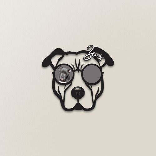 Cuadro Decorativo Para Pared Mascota Pitbull Lentes Espejo
