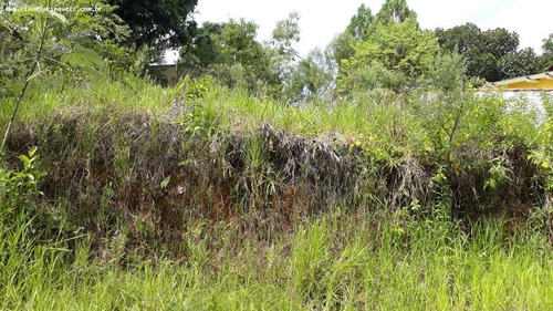 Imagem 6 de 12 de Terreno Para Venda Em Barra Mansa, Moinho De Vento - 0044_1-1676989