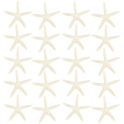 20 Piezas Estrella De Mar, 2.5  4  Conchas De Mar Natur...