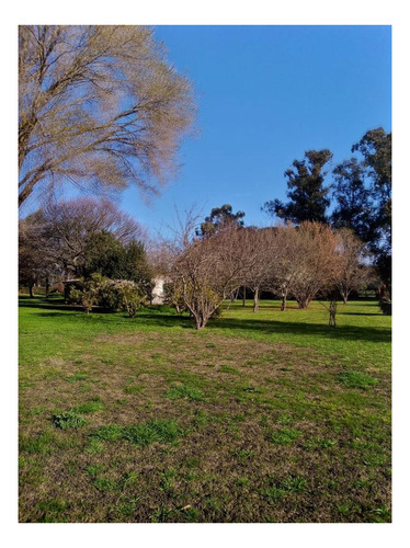 Imagen 11 de 14 de Quinta En Venta - 3 Dormitorios 3 Baños - 180mts2 - Miramar
