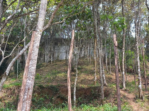 Imagem 11 de 12 de Terreno Mairiporã 800 Metros