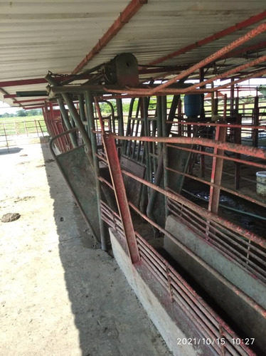 Imagen 10 de 24 de Finca En Barinas A Orilla De La Carretera