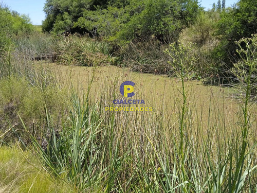 23 Hectáreas En Lavalleja Con Arroyo
