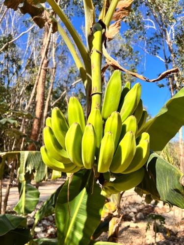 Terrenos Ecológicos En Venta Tulum