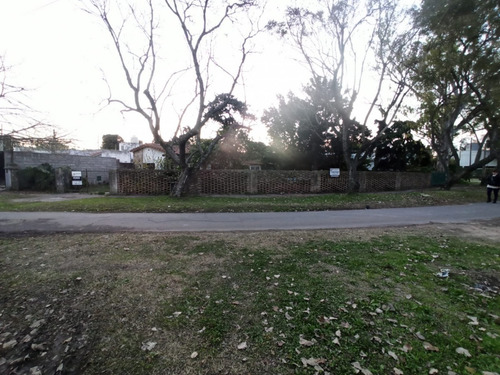 Imagen 6 de 6 de Casa Quinta A Refaccionar