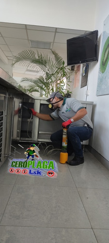 Servicio De Fumigacion Chiripas Cucarachas Termitas Zancudos