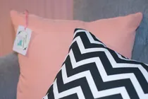 Comprar Pack 2 Almohadones Nórdicos 40x40 - Con Cierre Y Relleno 