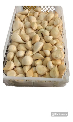 Ajo Chilote 1 Kilo + 1 Kilo De Papas Nativas !!!