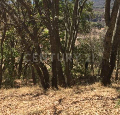 Terreno En Venta En Chapa De Mota