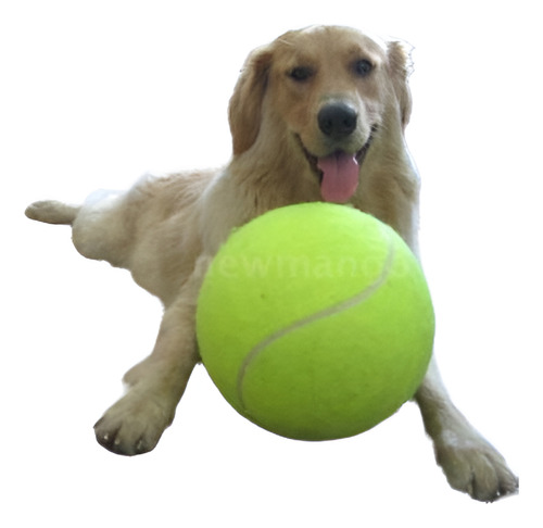 9.5  Tenis Gigante Bola Mascota Perro Cachorro Gato Chucker 