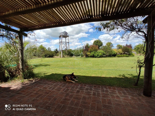 Imagen 22 de 30 de Venta De Chacra Sobre Ruta 9 A 30 Km De Jose Ignacio - Maldonado Ruta 9