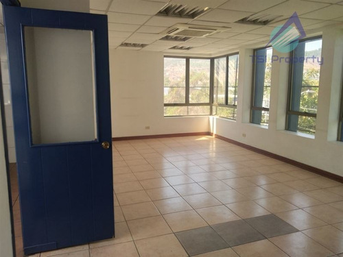 Imagen 3 de 27 de Industrial 1.475 Mt2 En Arriendo En Recoleta