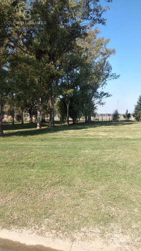 Lote En Lagos De San Eliseo - Canning