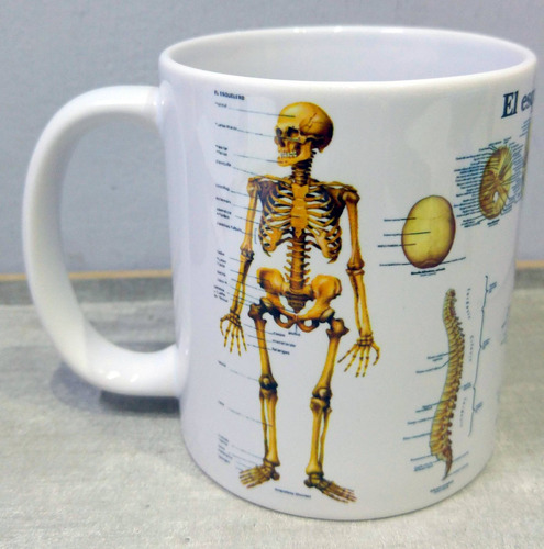 Taza Cerámica Esqueleto Cuerpo Humano Calavera Huesos