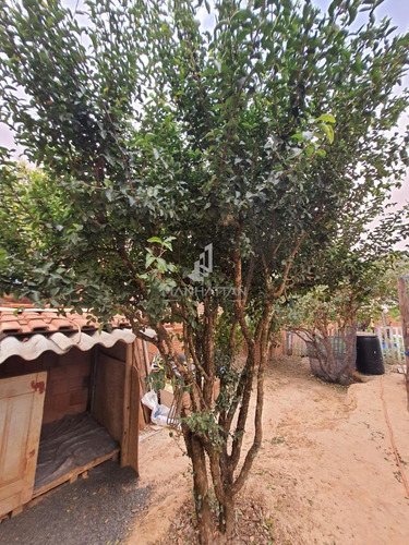 Imagem 21 de 24 de Chácara À Venda Em Chácara Recreio Cruzeiro Do Sul - Ch006412
