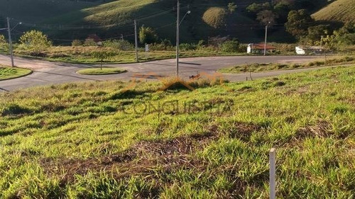 Imagem 2 de 4 de Terreno - Nogueiras - Ref: 2442 - V-4626