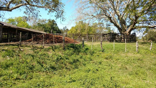 Vendo Rancho Ganadero 223 Hectáreas Temapache Veracruz