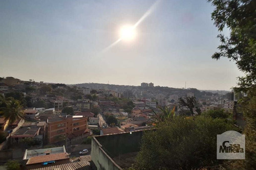 Imagem 1 de 2 de Lote À Venda No Salgado Filho - Código 256119 - 256119