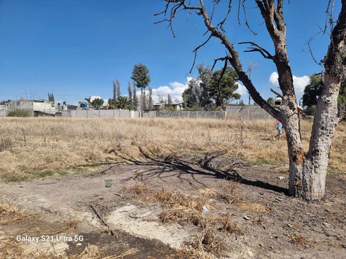 Venta De Terreno En Ejido La Magdalena Panoaya, Texcoco