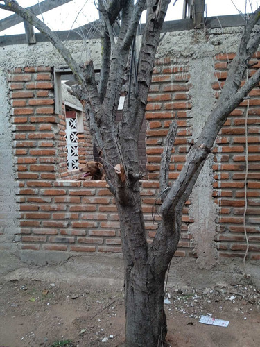 Venta Casa Con Amplio Terreno, Quilpué (68197)